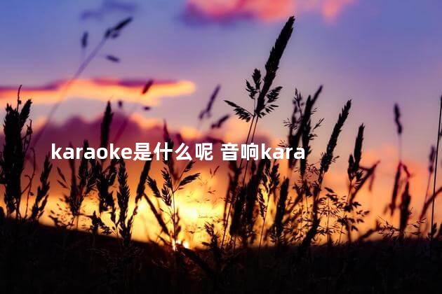 karaoke是什么呢 音响karaoke是什么意思